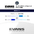 EVANS MXホワイト マーチングテナードラムヘッド