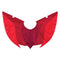 custom sewn dragon fire wings in flame, red, and crimson