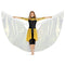 iridescent ice wing fanned out behind performer