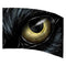 yellow eye of animal with black fur printed color guard flag