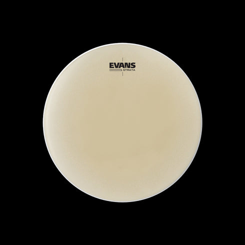 EVANS ストラータ ティンパニヘッド
