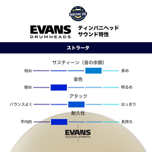 EVANS ストラータ ティンパニヘッド